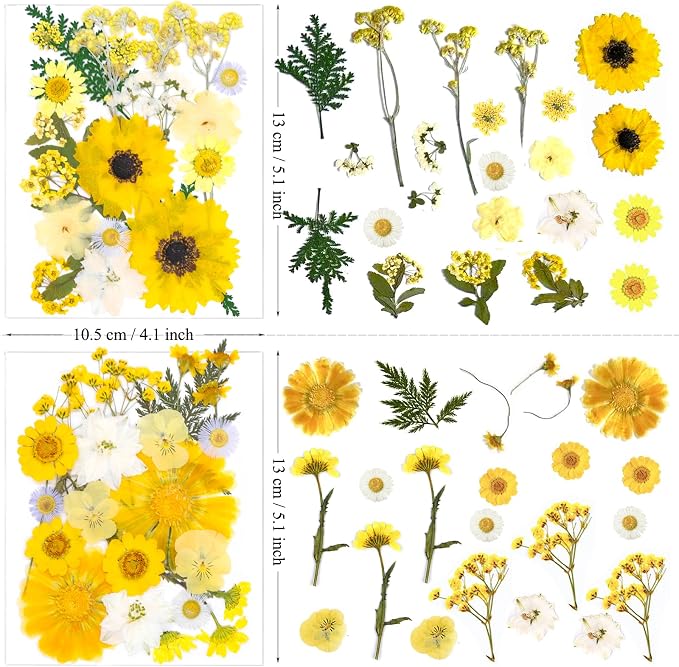 132Pcs Yellow Pressed Dried Flowers and Butterfly - Image 6