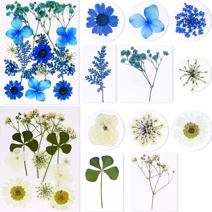BIHRTC 100pcs Blue Dried Flowers - Image 3