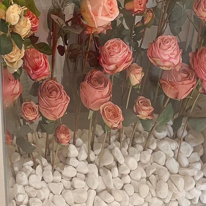 FANTIAN 5 lbs White Matte Rocks - Image 9