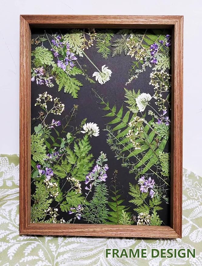 48 Pcs Mix Natural Dried Pressed Ferns - Image 3