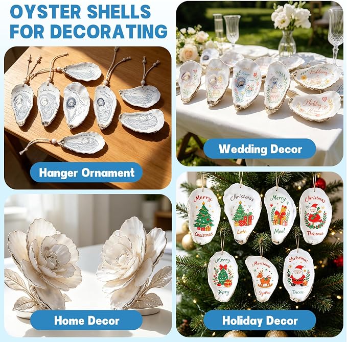 5"-6" 30PCS Extra Large Oyster Shells, Natural Flat Oyster Shells - Image 4