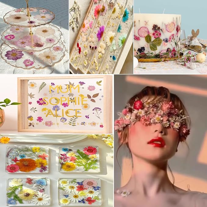 120Pcs Multi-Style Dried Pressed Flowers & Leaves - Image 5