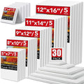 30 Pack Canvases for Painting by ESRICH
