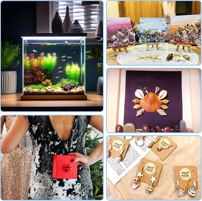 WEOXPR 2000 Pcs Tiny Sea Shells & Starfish - Image 7