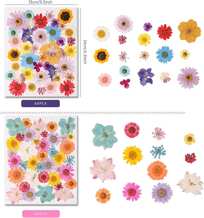 80PCS Multicolor Pressed Dried Flowers Dry Leaves | - Image 2