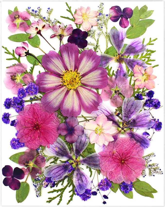 35Pcs Purple Pressed Dried Flowers by LUCISKY
