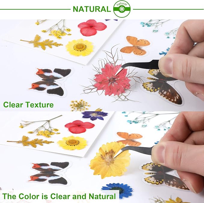 Augshy Real Dried Pressed Flower Set - Image 4