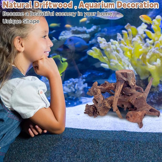 PINVNBY Natural Driftwood for Aquarium Fish Tank Decorations Assorted Branches - Image 6