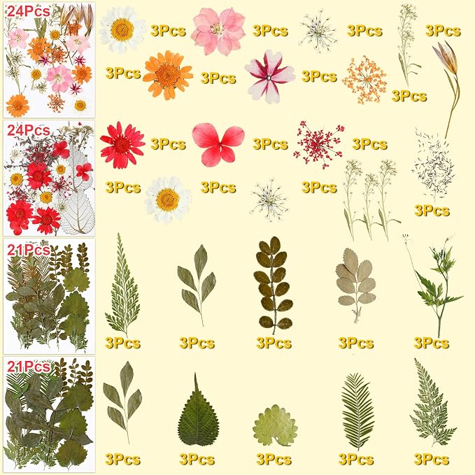 Fabbay 712 Pcs Dried Pressed for Resin - Image 3