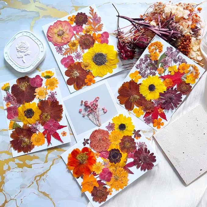 130Pcs Orange Fall Pressed Dried Flowers and Butterfly - Image 3