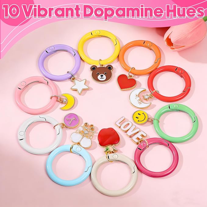 100 Pcs Round Carabiner Keychain Rings Bulk-10 Colors Metal Key Ring Clips - Image 4