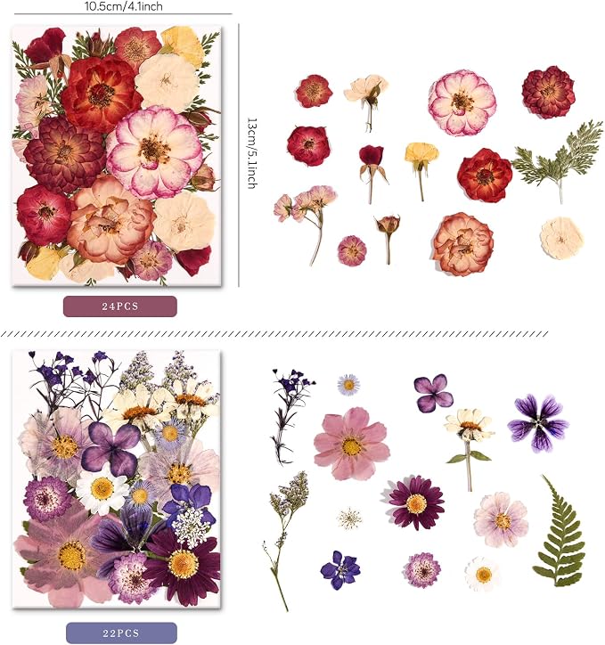 150PCS Pressed Dried Flowers Dry Leaves - Image 4