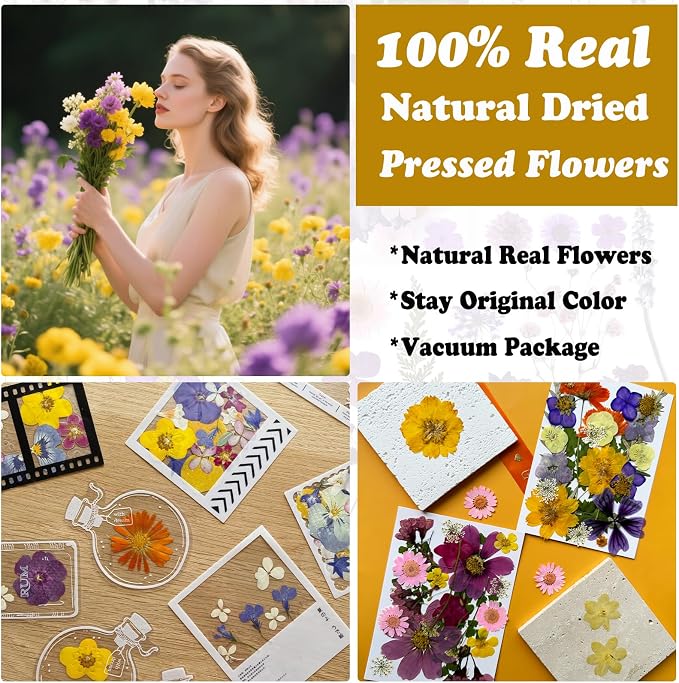 46Pcs Pressed Dried Flowers Real Natural Leave - Image 2