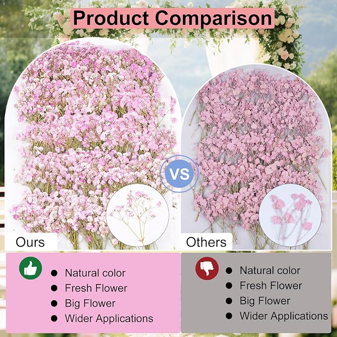 50Pcs Pink Babys Breath Dried Pressed Flowers - Image 5