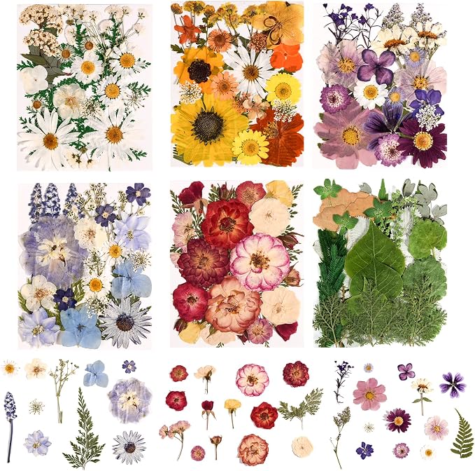 150PCS Pressed Dried Flowers Dry Leaves by nisetten