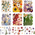 150PCS Pressed Dried Flowers Dry Leaves by nisetten