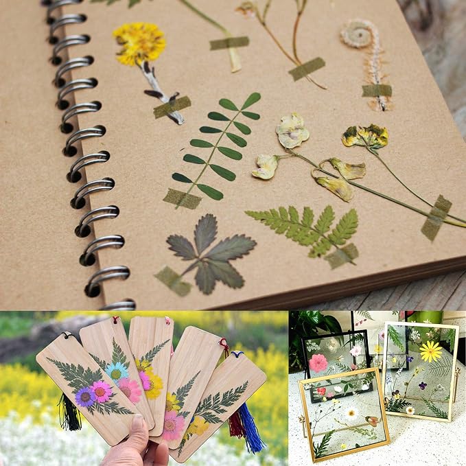 63 Pcs Real Dried Pressed Leaves Natural Dried Leaf - Image 7