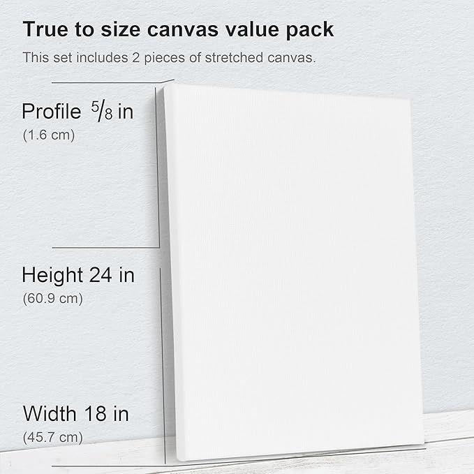 PHOENIX 18x24 Inch Pack of 2 Canvas - Image 2