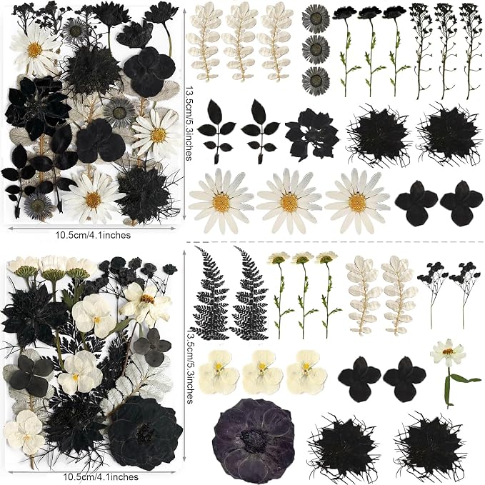 131PCS Black White Dried Pressed Flowers - Image 3