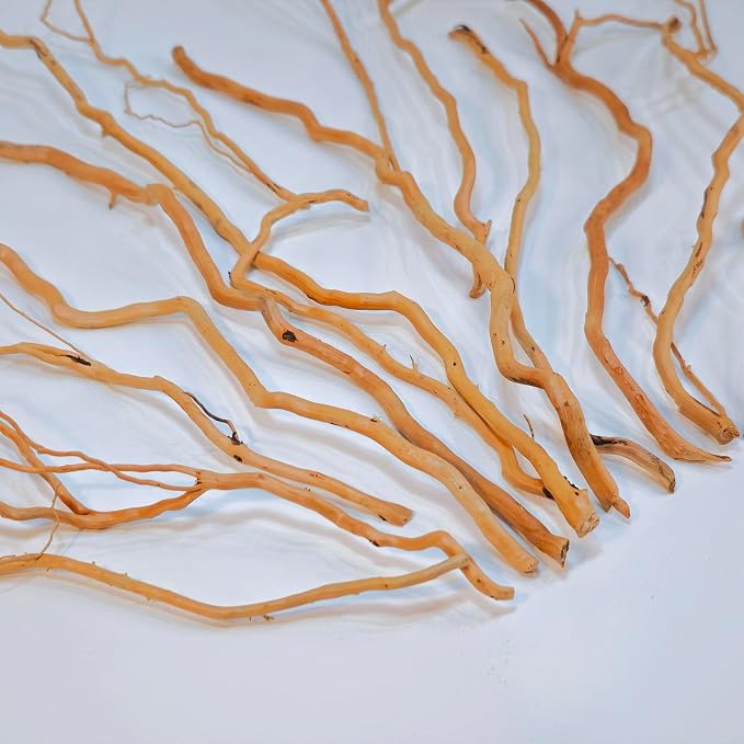 Azil Natural Aquarium Driftwood Root – Driftwood - Image 3
