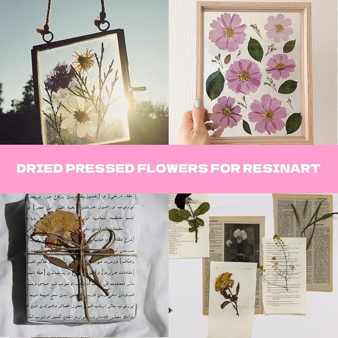 Dried Flowers for Resin 116Pcs | Pink Real Natural Pressed Flowers - Image 4