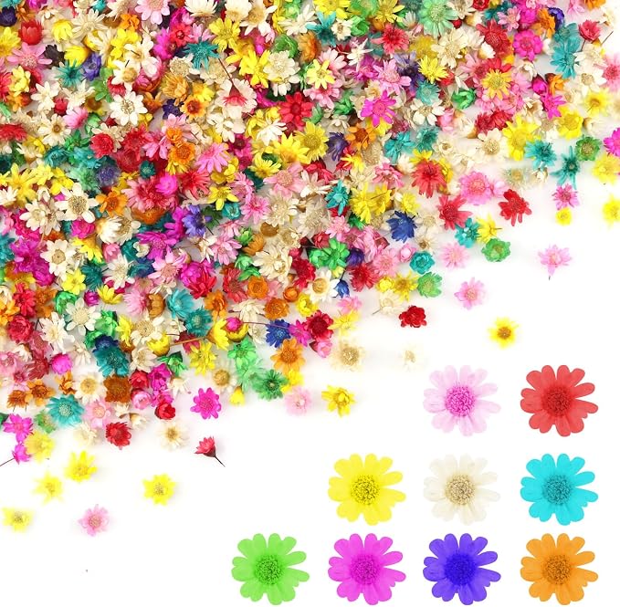 1000 PCS Mini Dried Flowers for Resin, Small Dried Flowers for Crafts, by Unknown
