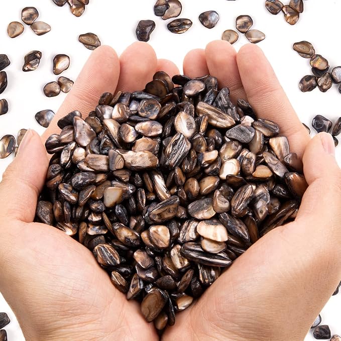 QICQDRAM Crushed Shells for Crafts About 2LB Small Natural Crushed Shells Bulk by QICQDRAM