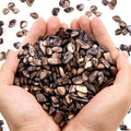 QICQDRAM Crushed Shells for Crafts About 2LB Small Natural Crushed Shells Bulk by QICQDRAM