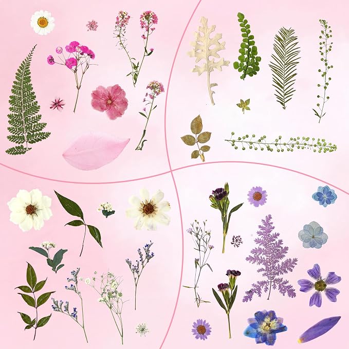 Augshy Dried Pressed Flowers Dry Leaves, Scrapbooking - Image 4