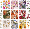 9 Packs of 200 Pressed Dried Flowers and Leaves by Cokosing