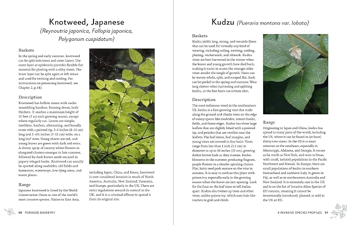 Foraged Basketry: Weaving with Wild and Invasive Plants - Image 4