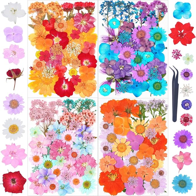 141Pcs Dried Pressed Flowers for Crafts, Xinxinran Dry Flower Kit for Resin by Unknown