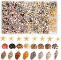 1200 PCS Tiny Seashells & 21 Starfish Mixed 18 Kinds Bulk Beach Small Shells by HOHUCRAB
