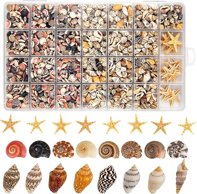 1200 PCS Tiny Seashells & 21 Starfish Mixed 18 Kinds Bulk Beach Small Shells by HOHUCRAB