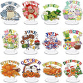 YooNotee 12 Sets Interchangeable Seasonal Diamond Art Tabletop Decorations by Unknown