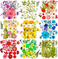 MIKIYA 182Pcs Dried Pressed Flowers by MIKIYA