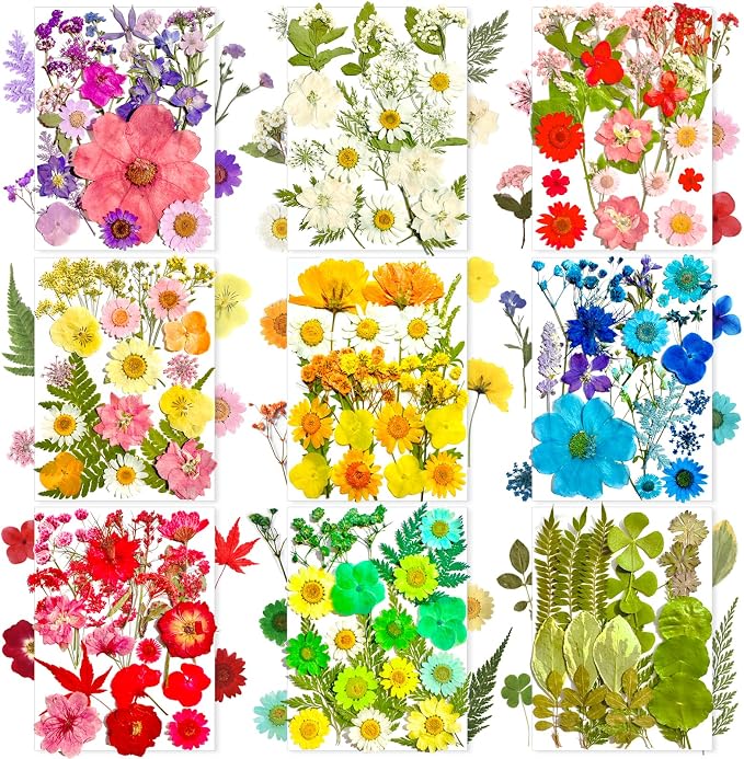 MIKIYA 182Pcs Dried Pressed Flowers by MIKIYA