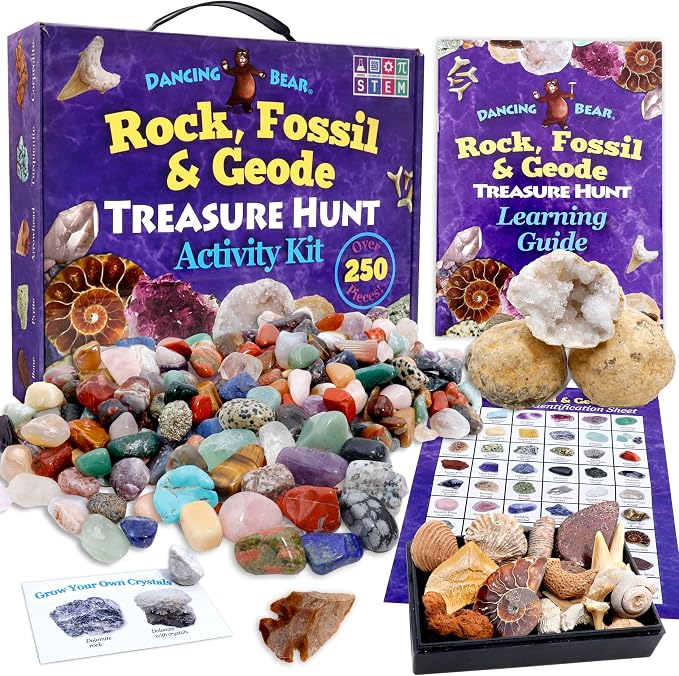 DANCING BEAR Rock, Mineral & Geodes Treasure Hunt Activity Kit Real Shark Teeth - Image 8