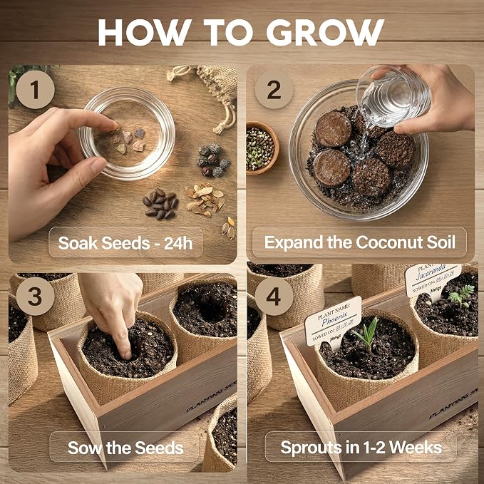 Bonsai Tree Kit Deluxe - Image 3