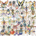 50Pcs Clear PET Insect Aesthetic Stickers by Unknown