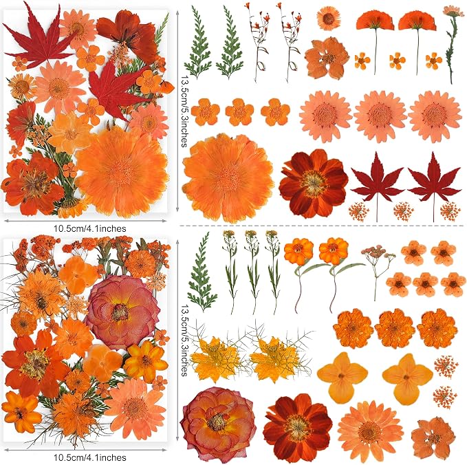 150PCS Orange Fall Dried Pressed Flowers - Image 4
