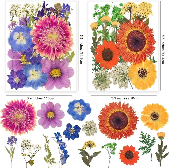 122PCS Large Nature Dried Pressed Flowers - Image 4