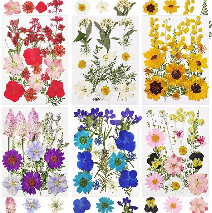 Dried Flowers for Resin, Nail Production by CONVELIFE