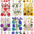 Dried Flowers for Resin, Nail Production by CONVELIFE