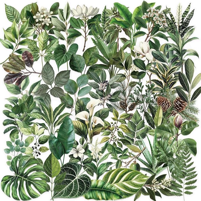 50-Piece Transparent Waterproof Greenery Plant Stickers by YOKSAS