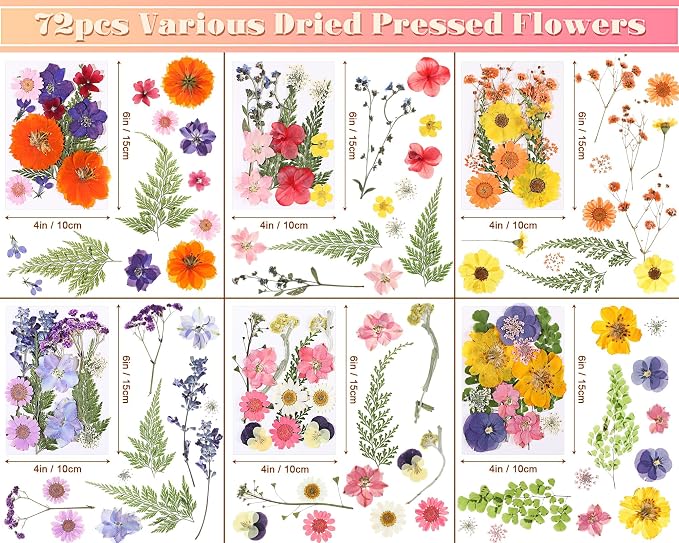 eBoot 72 Pcs Dried Pressed Flowers - Image 2