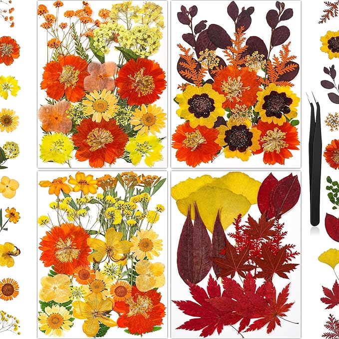 85Pcs Dried Flowers for Crafts, Natural Pressed Flowers for Crafts Real Dried by HLCYGJIN