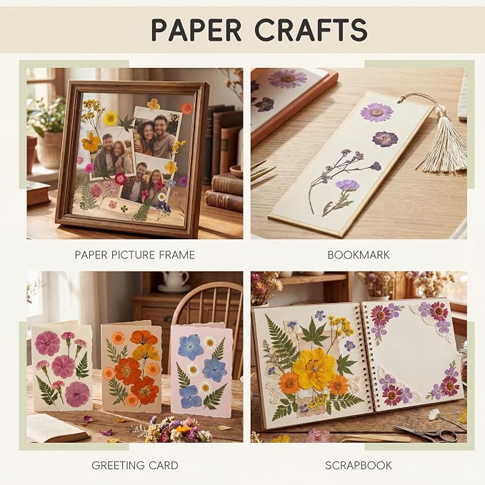 LUXEEASE 80P Vibrant Multicolor Dried Pressed Flowers | No matching needed - Image 5