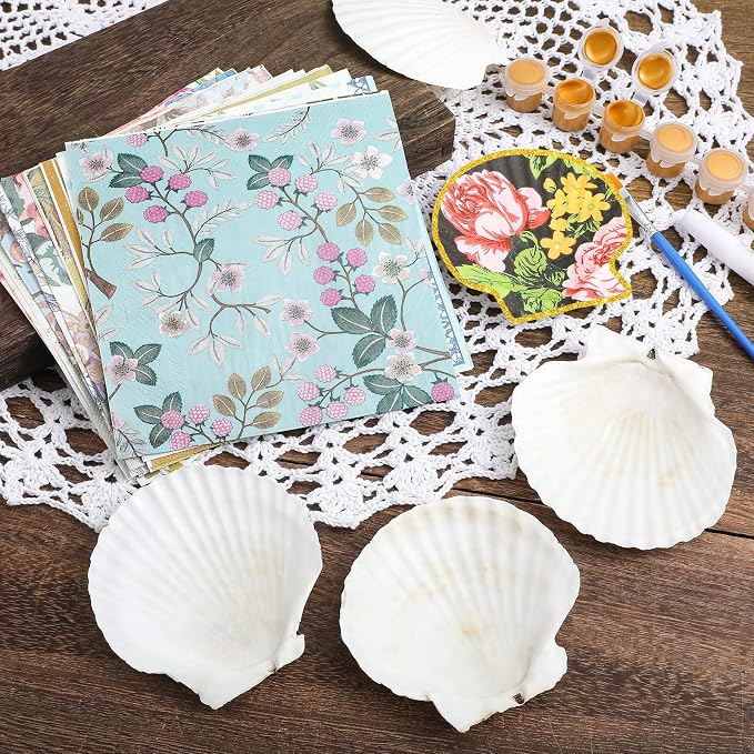 Halloscume 12 Set Scallop Shells - Image 3