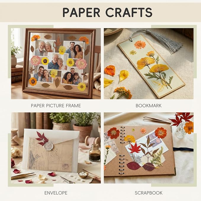 LUXEEASE 100P Autumn Dried Pressed Flowers, Warm Tone | Rust orange burgundy - Image 5